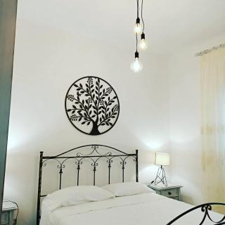 Trulli di nonna Palma - 1