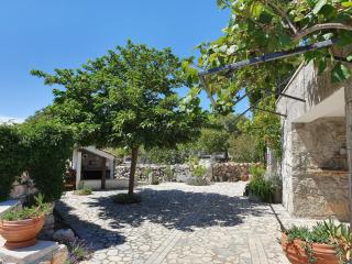 Villa Diny with Pool - Pinezici - 4