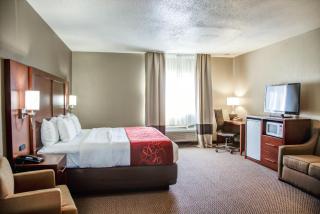 Comfort Suites Lombard - Addison - Lombard - 9