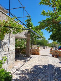 Villa Diny with Pool - Pinezici - 1