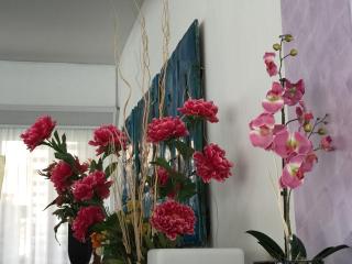 Hotel Sahara - Milano Marittima - 4