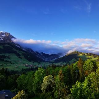 FeWo Fernsicht Crystal - Adelboden - 0