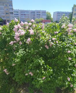 Rojas street apartments - Liepāja - 8
