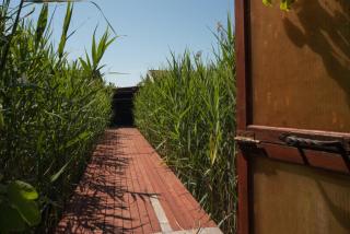 Rudovic River House - 9