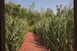 Rudovic River House - 8