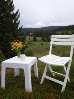 VILA ZORANA - Bajina Bašta - 2
