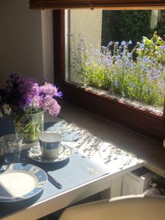 Appartement 1 Baltic - 1