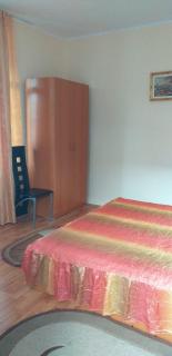 Casa Olanescu - Băile Olăneşti - 7