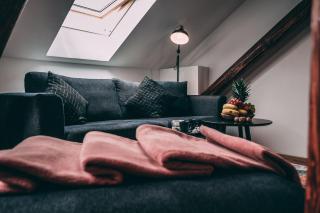 Luxury Oasis, Sauna, AC and Free Parking - Brno - 3
