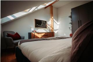 Luxury Oasis, Sauna, AC and Free Parking - Brno - 6