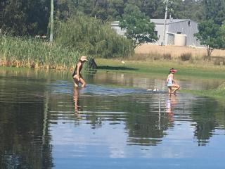 Something Different - Shedstay - Donnybrook - 9