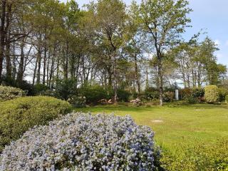 l'Arbre Voyageur - 3