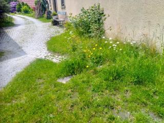 Ferienwohnung am Pochebach - Jonsdorf - 3