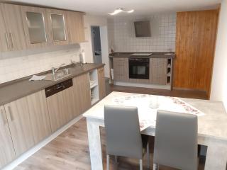 Familienfreundliche Ferienwohnung - Zschorlau - 1