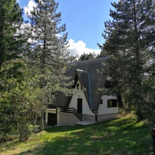 Kuća za odmor Arsenijević - Zlatibor - 4