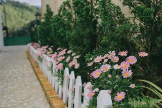 Lux Nest Villa Đà Lạt - Dalat - 7