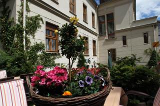 Parkhotel Plauen - Plauen - 1
