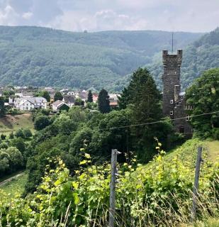 Pension Schmitz - Serrig - 9