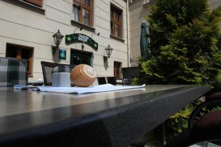 Parkhotel Plauen - 2