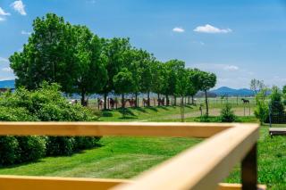 Horse Glamping Park - 4