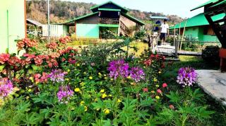 ชมนาโฮมสเตย์บ้านนาคำ - 6