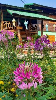 ชมนาโฮมสเตย์บ้านนาคำ - 8