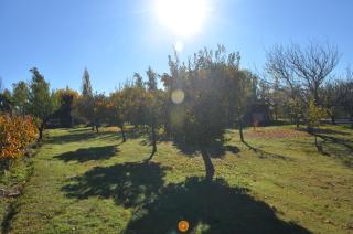 Finca Fisterra - Maipú - 4