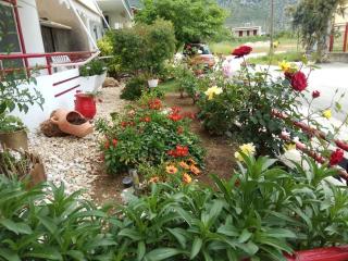 Elenas Apartments - Plataria - 3