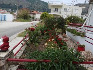 Elenas Apartments - Plataria - 4
