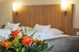 Hotel Fortuna - Stockach - 5