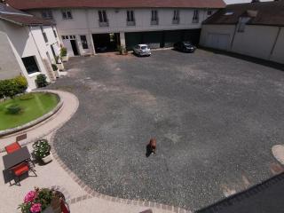 Logis Hotel Le Cerf - 5
