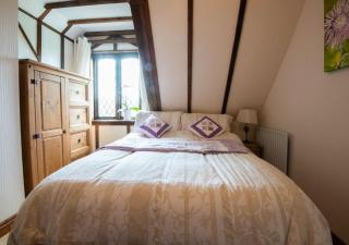 Demelza Cottage Apartment - Bodmin - 3