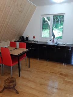 Cabana din livada - Pucioasa - 1