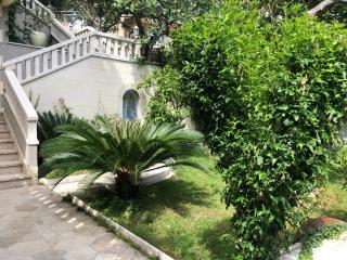 Villa Rosso - Baška Voda - 2