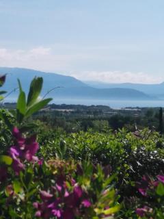 Bio B&B Vivere la Vita - Polpenazze del Garda - 5