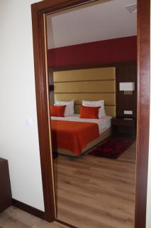 Palace Hotel & SPA Termas do Bicanho - Soure - 6