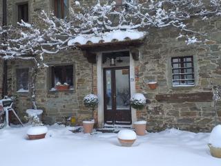 Casina Della Burraia - Subbiano - 9