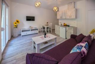 Apartmani Stari Grad - 4