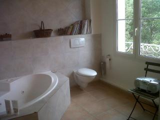 BASTIDE DE CHARME PISCINE PRIVATIVE GORGES HERAULT - Causse-de-la-Selle - 6