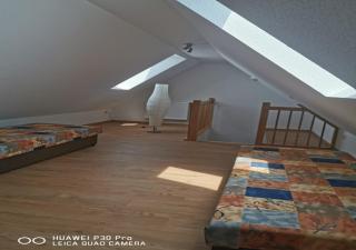 Gästewohnung 17 - Oschersleben - 4