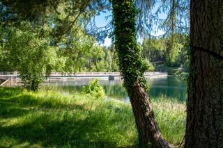 Ferienwohnungen Haus am See - Tambach-Dietharz - 6