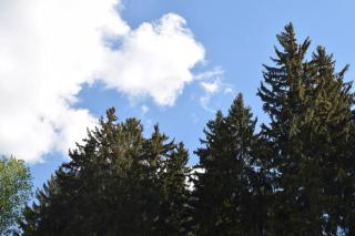 Apartament Śnieżka - 6