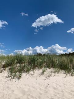 Ferienwohnung Thiemig - Neuhaus - 3