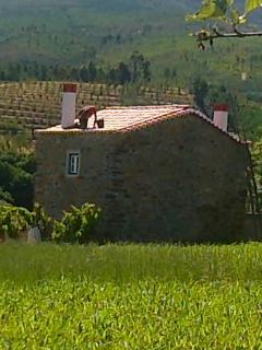 Casa Do Salgueiral - 9