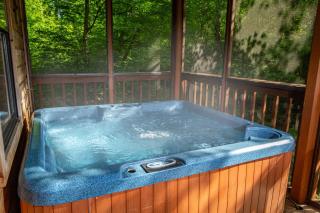 BEAR FOOTIN' on the CREEK - Gatlinburg - 3