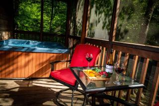 BEAR FOOTIN' on the CREEK - Gatlinburg - 1
