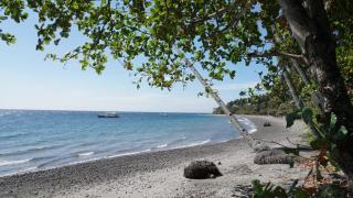 Wellbeach Dive Resort - Zamboanguita - 1