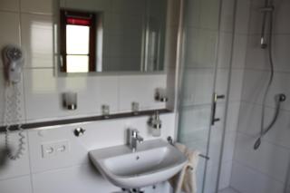 Hotel Hochdorfer Hirschen - Friburgo in Brisgovia - 2