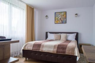 Residence Ghinita Bucovina - 1
