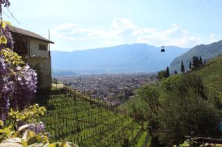 Weingut Eberlehof - Bolzano - 8